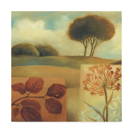Trademark Fine Art Lisa Audit 'Down to Earth 1' Canvas Art, 18x18 ALI24872-C1818GG